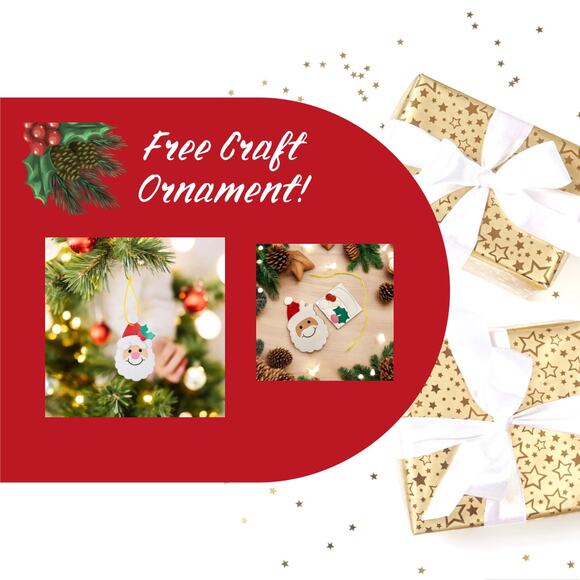 HOLIDAY BUNDLE! Christmas Pillow Cover + 3 FREE DIY Ornaments! LOW STOCK - Picture 3 of 5